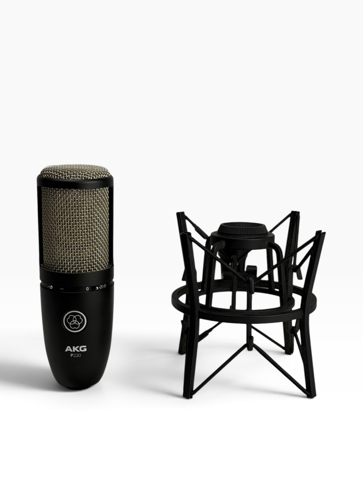 AKG P220 Project Studio Large-Diaphragm Condenser Microphone w/ Spider Shockmount &amp; Aluminum Case – Open Box
